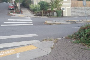 bicycle and pedestrian crosswalk safety