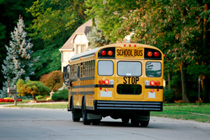 School Bus in Neighborhood