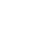 expertise icon white